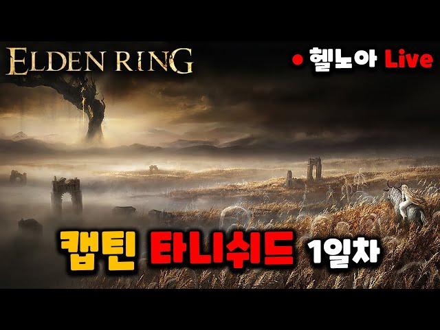 엘든링 DLC 캡틴 타니쉬드 빌드 1일차