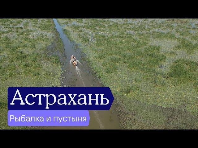 Астрахань — не только рыбалка? | Отчёт разведки