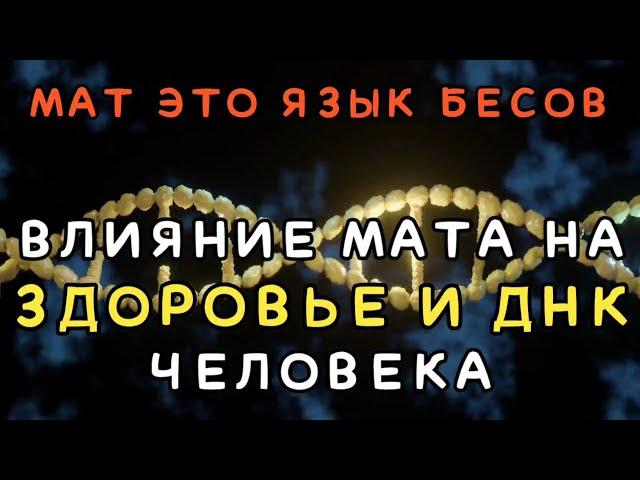 Влияние мата на здоровье и ДНК человека. Мат это язык общения с бесами