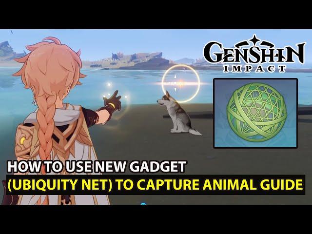 Genshin Impact - How To Use (Ubiquity Net) Gadget To Capture Animal Guide