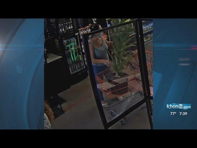 CrimeStoppers: Pearl City, Moanalua thefts, Halawa burglary