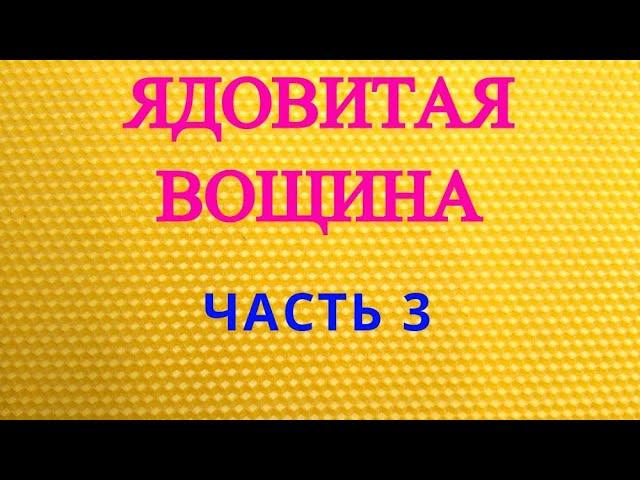 Вощина фальсификат. Воск 1 сорт