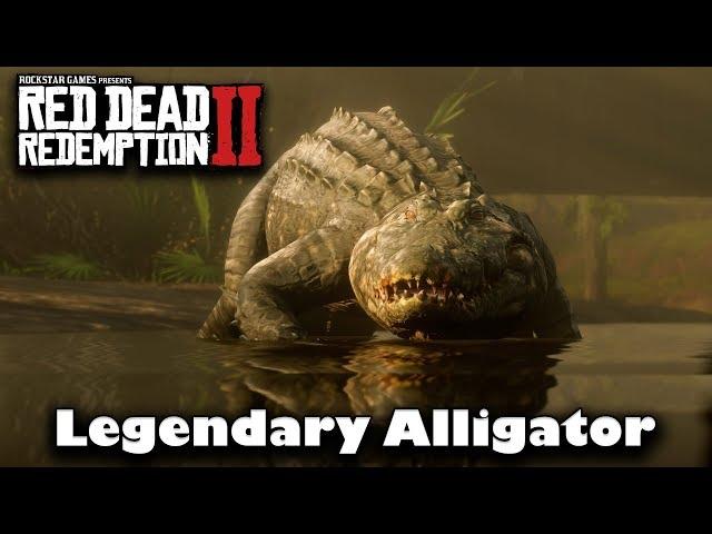 Why Can't I Find the Legendary Alligator  -  Red Dead Redemption 2