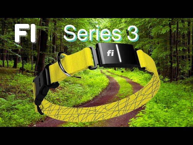 Fi Series 3 Collar