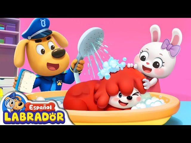 Sheriff Labrador - Mi Mascota No Quiere Bañarse  | Videos para Niños | BabyBus en Español