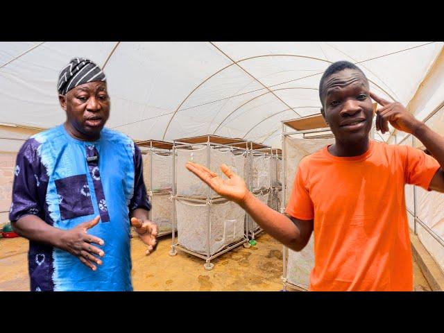 WHY I LEFT MY EUROPEAN BUSINESSES TO BECOME A FARMER IN NIGERIA