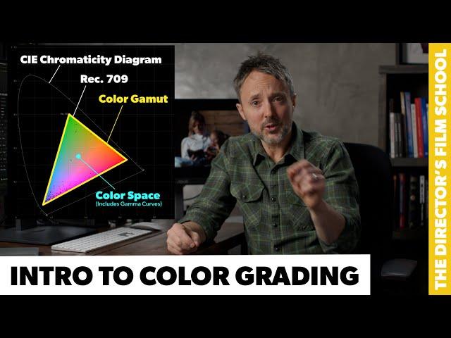 Introduction to Color Grading | Color Spaces & Gamuts | SDR & HDR