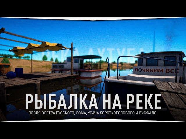 Рыбалка на реке Ахтуба • Русская Рыбалка 4