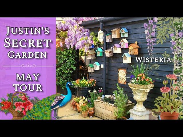 Justin's Secret Garden - May Tour - Featuring a 40 year old Wisteria