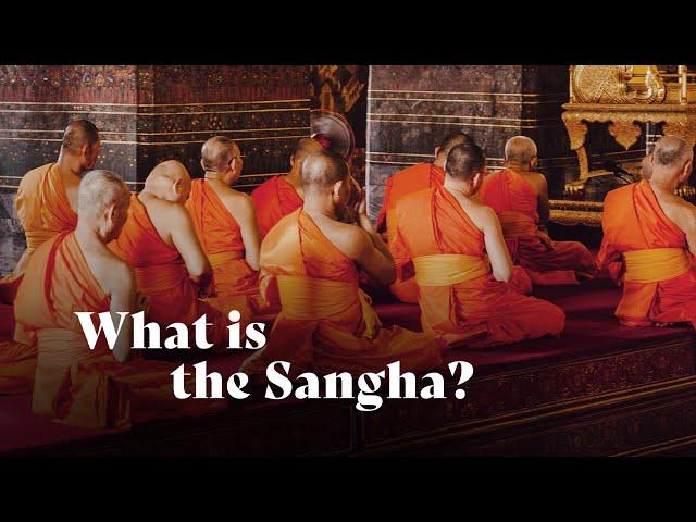 What is the Sangha? | Ajahn Amaro