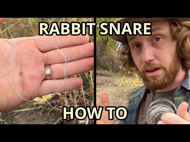 DIY Rabbit Snare quick tip. How to make and set a rabbit snare