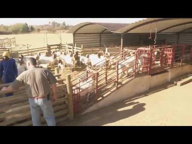 Dagbreek: Landbousake - Boerbokvleis