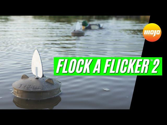 MOJO® Flock A Flicker™ 2 Overview