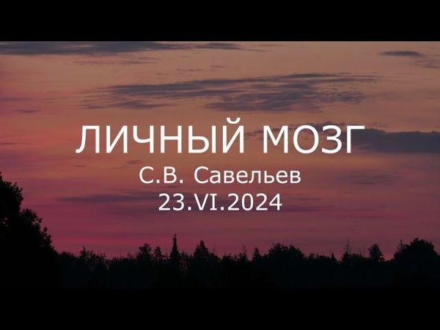 С.В. Савельев - Личный мозг