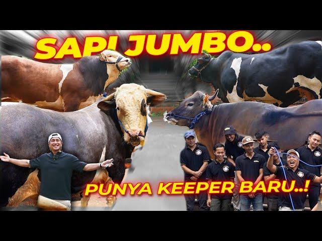 PENENTUAN KEEPER SAPI-SAPI DEHAKIMS  JANOKO ~ NICKI ~ BOMBER ~ CONDROSIMO