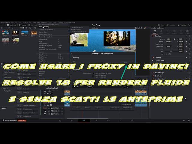 Come usare i Proxy in DaVinci Resolve 18 per rendere  le anteprime fluide e senza scatti