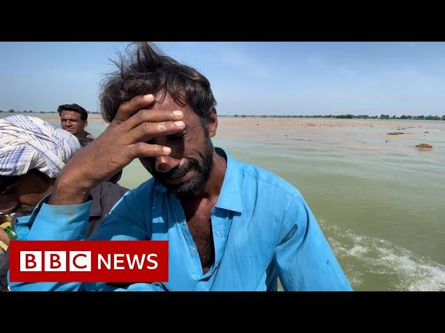 Pakistan floods: Time running out for families in Sindh - BBC News