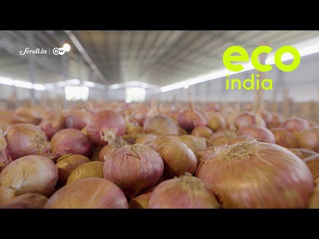 Eco India: What ails the humble onion?