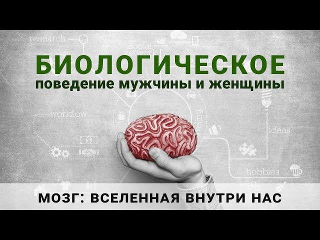 Лекция Дмитрия Жукова. Биологическое поведение мужчины и женщины