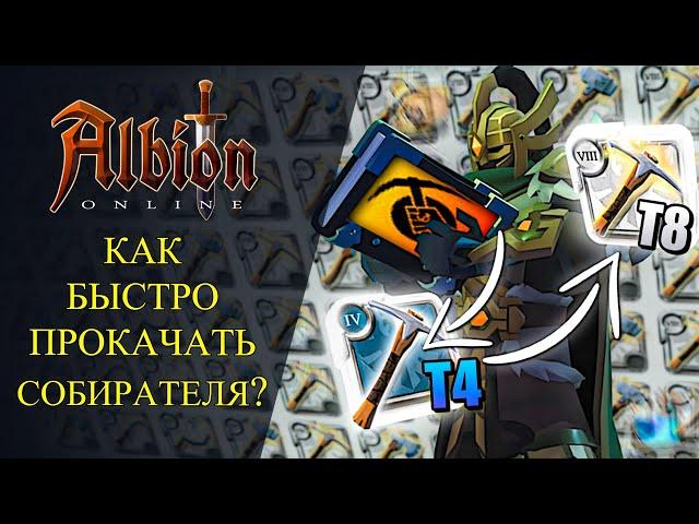 Albion online :БЫСТРАЯ ПРОКАЧКА СОБИРАТЕЛЯ