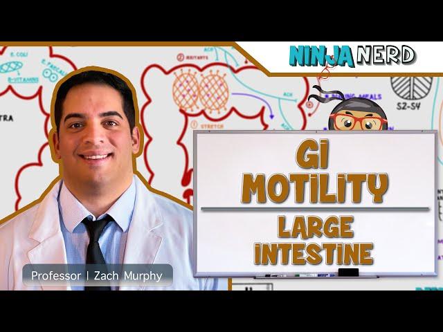 Gastrointestinal | GI Motility of the Large Intestine