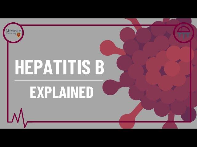 Hepatitis B: Explained