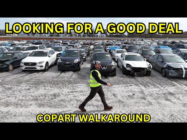 WALKING AROUND COPART IN SEARCH OF A GOOD DEAL