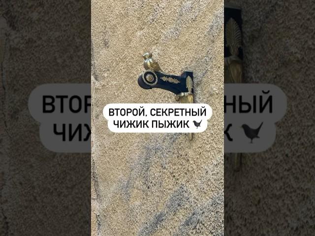 Второй, секретный чижик пыжик ‍⬛