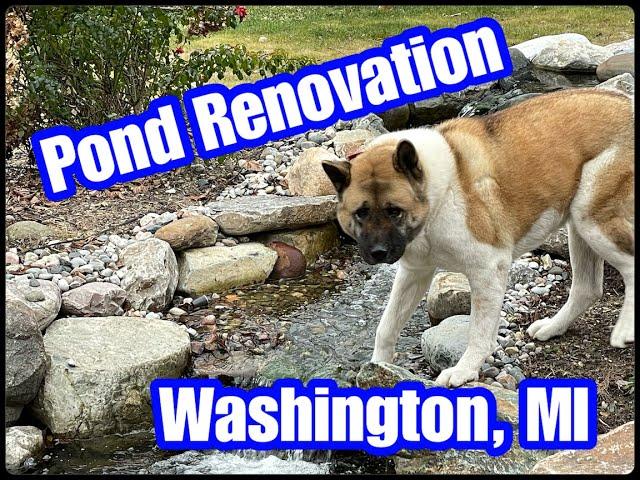 Pond Renovation | Makeover | Washington, MI