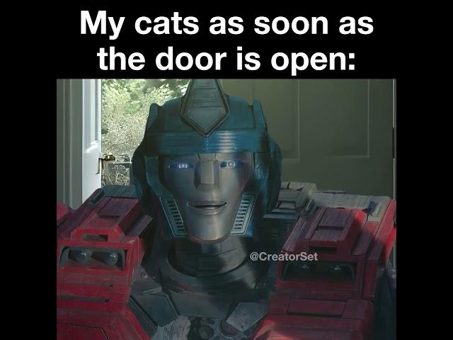 Optimus Prime running away like a Cat meme