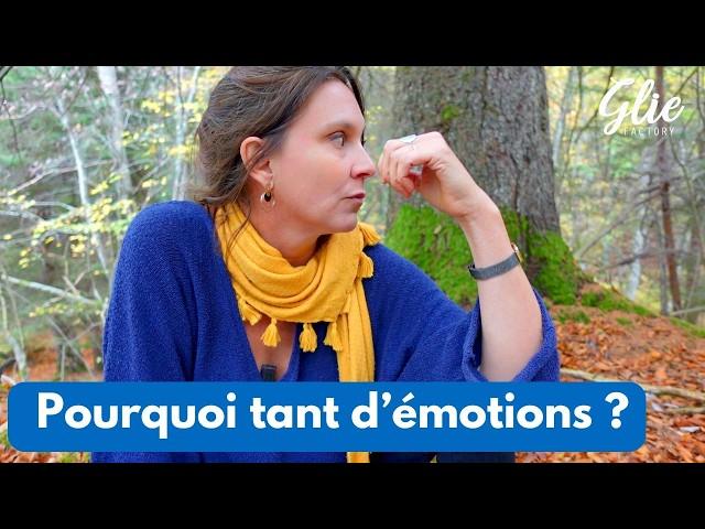 FACE aux EMOTIONS INTENSES