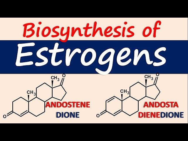 Estrogens - Biosynthesis and chemical synthesis