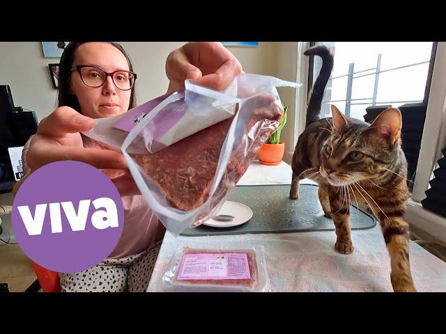 Viva Raw has a NEW protein for cats