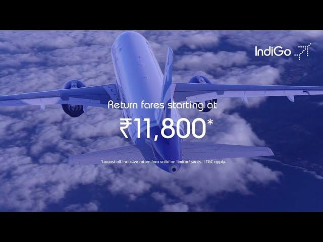 International Travel Is Back | IndiGo 6E