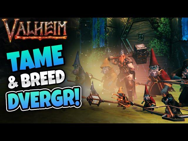 How to Tame & Breed Dvergr! - NEW Valheim Patch 0.220.041