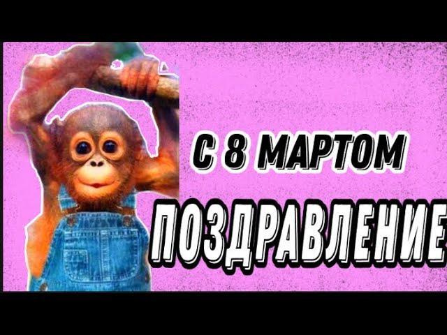 поздравление с 8 марта приколы видео