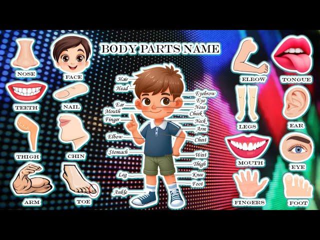 Fun and Educational Kids Video - Learn Body Parts Names with Playful Animation!