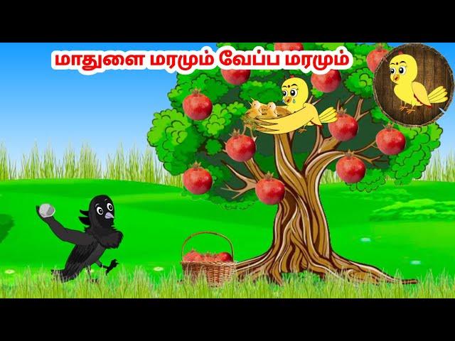 தமிழ் கார்ட்டூன் | Feel good stories in Tamil | Tamil moral stories | Beauty Birds stories Tamil