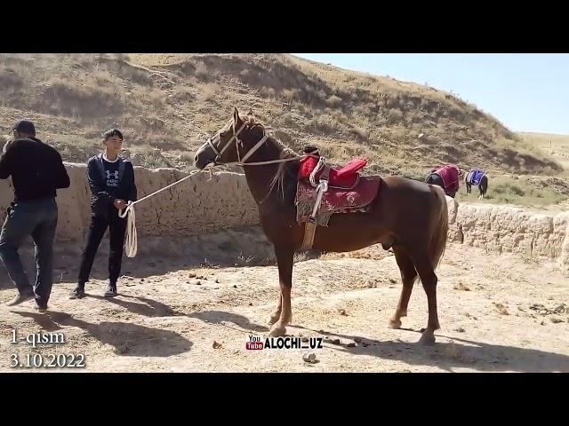 Ko'pkari Boshlandi  | Yakkabg' Turon 03,10.2022  1-qism #horse #alochi #kopkari