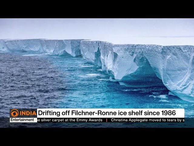 World's largest A23a iceberg drifting | DD India News Hour