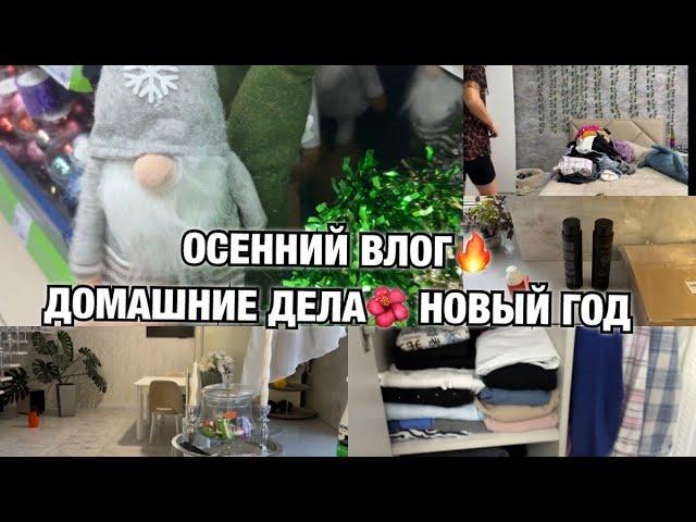 ОСЕННИЙ ВЛОГ! УЖЕ НОВЫЙ ГОД ВО ВСЮ НАЧИНАЕТСЯ ДОМАШНИЕ ДЕЛА