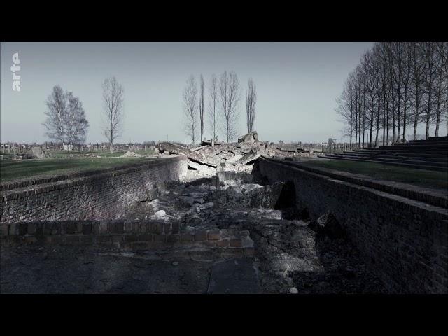 Sonderkommando Auschwitz-Birkenau