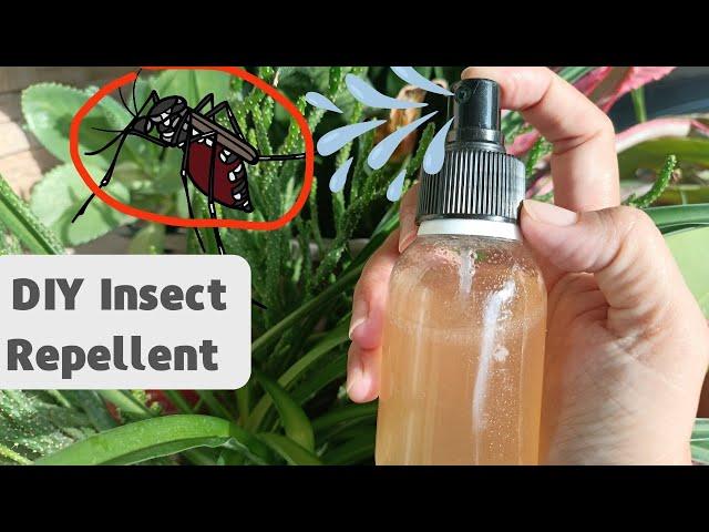 Harnessing the Power of Cloves and Alcohol: DIY Insect Repellent