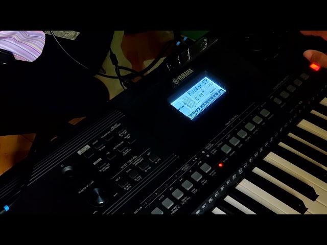 Yamaha PSR-EW410 voice demo