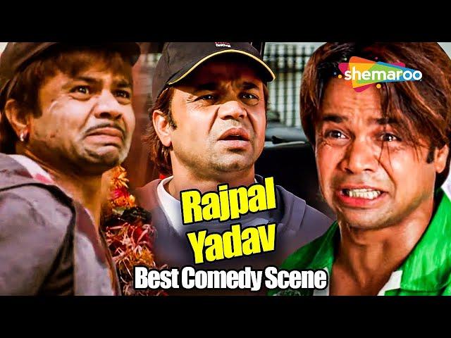 राजपाल यादव के धमाकेदार कॉमेडी सीन्स | Best Of Rajpal Yadav Comedy | Rajpal Yadav Comedy