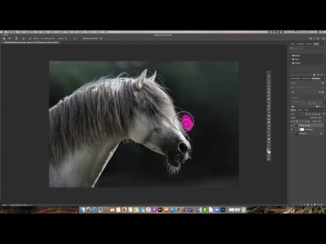 Photoshop-Quicktutorial: Freistellen von Mähne, Fell u. Tastenhaaren. Super schnell und zuverlässig!