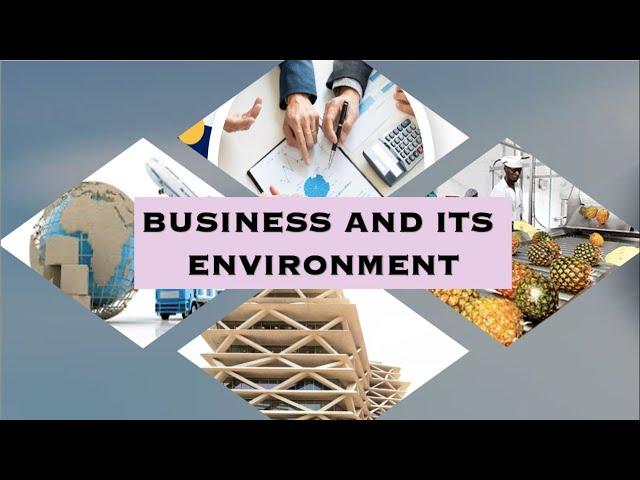 Business and its Environment