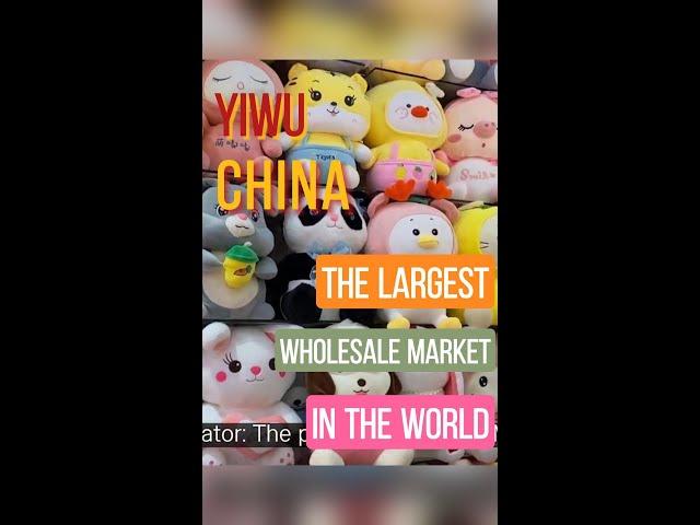 Yiwu Market Tour ｜Plush toy｜Sourcing in China