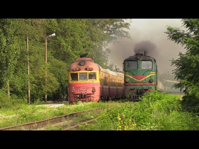 Две классики - дизель-поезд Д1 и тепловоз 2ТЭ10Л / Two classics - D1 DMU and 2TE10L