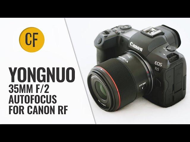 Yongnuo 35mm f/2 R DF DSM lens review (Canon RF version)